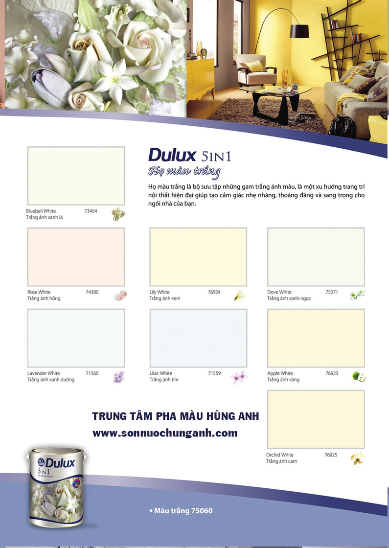 Bảng màu Dulux 5 in 1